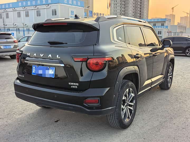 Фото 6 - Haval H-Dog
