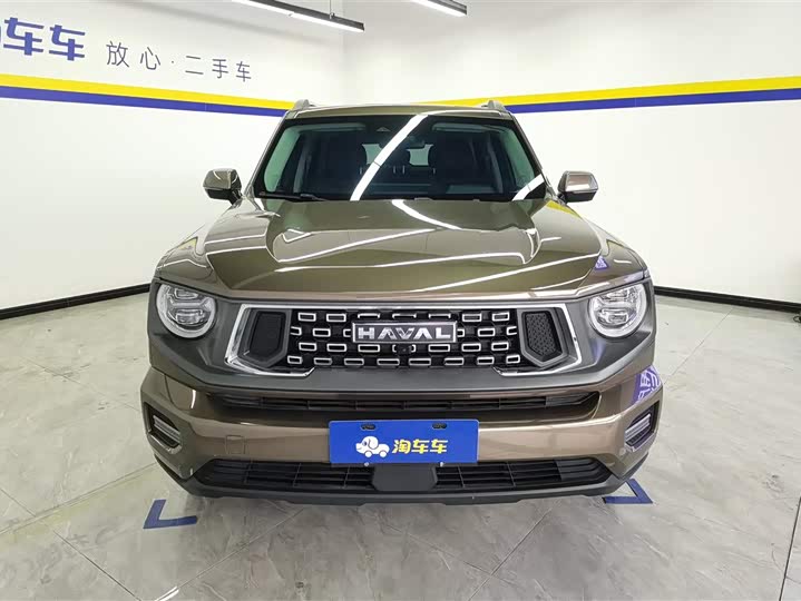Фото 2 - Haval H-Dog