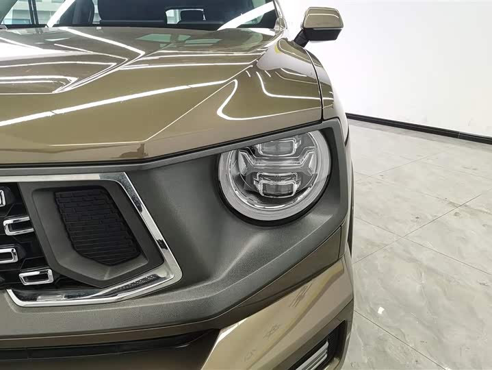 Фото 5 - Haval H-Dog