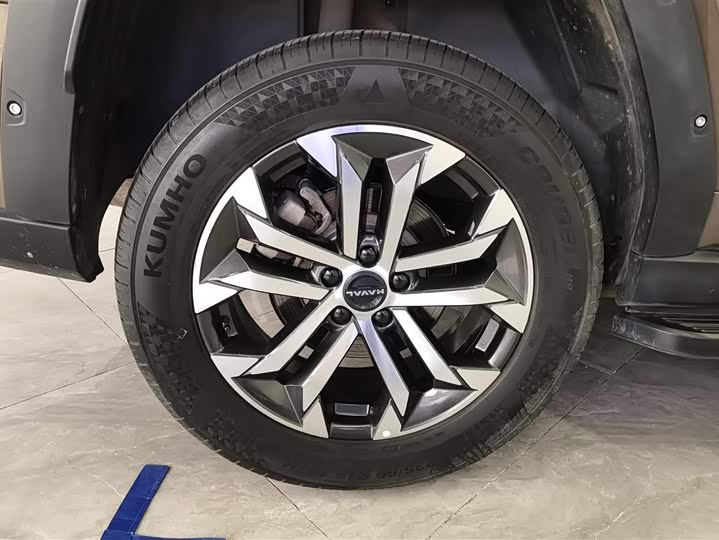 Фото 6 - Haval H-Dog