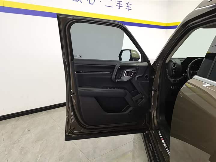 Фото 7 - Haval H-Dog