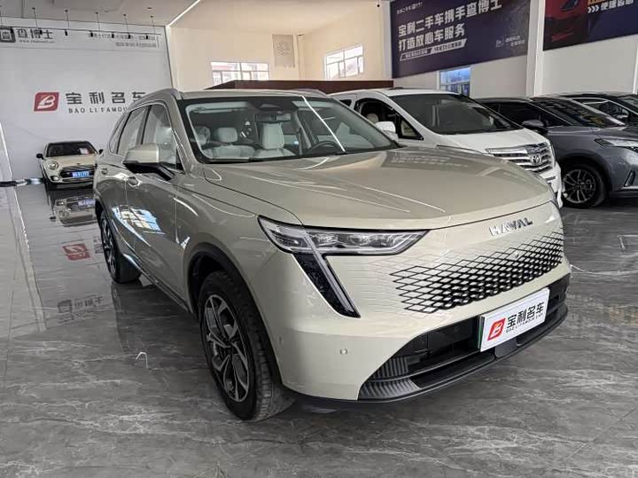 Фото 2 - Haval Ruge Max