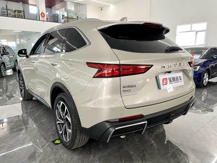 Фото 3 - Haval Ruge Max