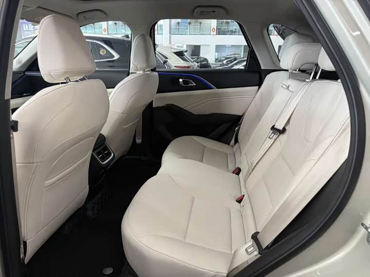 Фото 4 - Haval Ruge Max