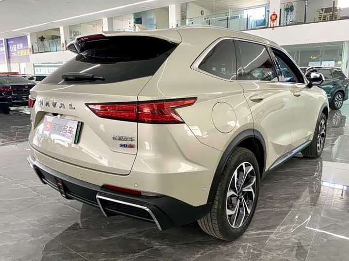 Фото 6 - Haval Ruge Max