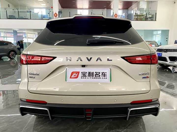 Фото 7 - Haval Ruge Max