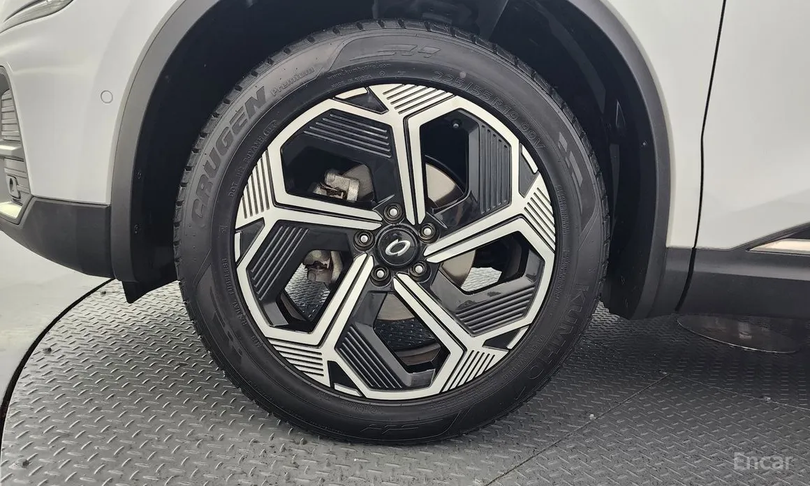 Фото 5 - Renault QM6