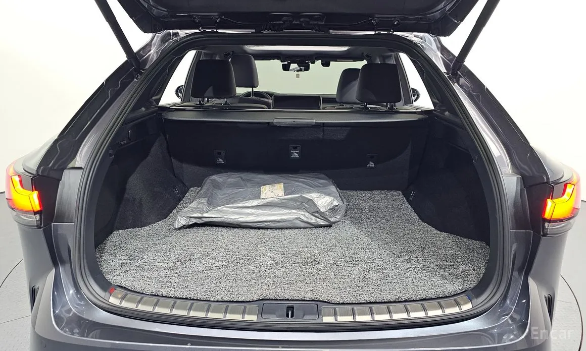 Фото 20 - Lexus RX