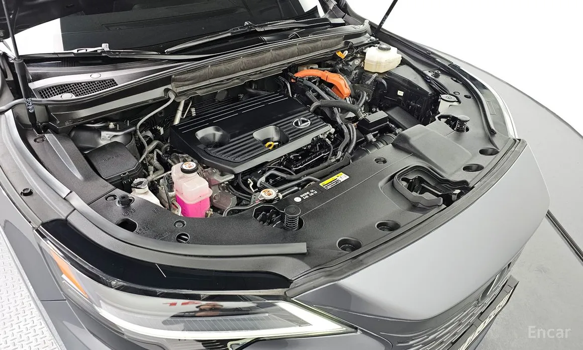 Фото 6 - Lexus RX