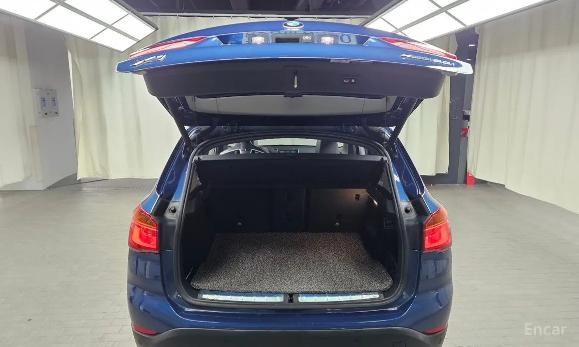 BMW X1 2016 xDrive 20i xLine