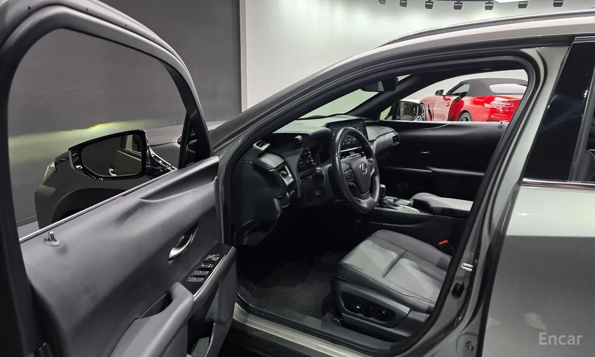 Фото 11 - Lexus UX