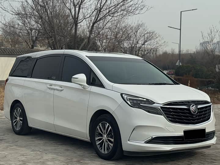 Фото 4 - Buick GL8 ES