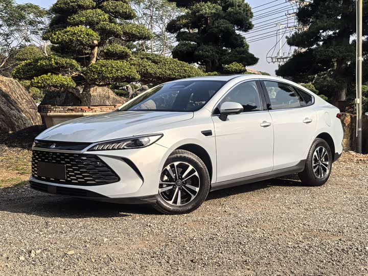 Фото 1 - BYD Qin Plus