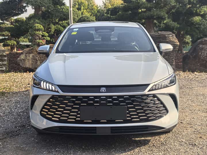 Фото 2 - BYD Qin Plus