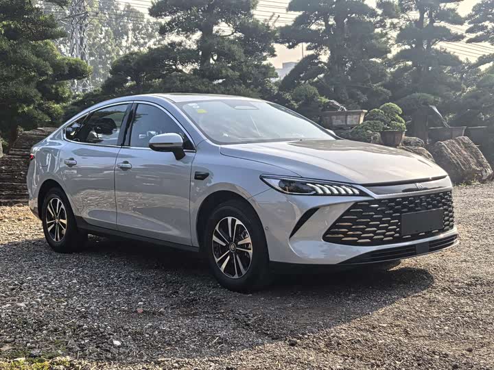 Фото 3 - BYD Qin Plus