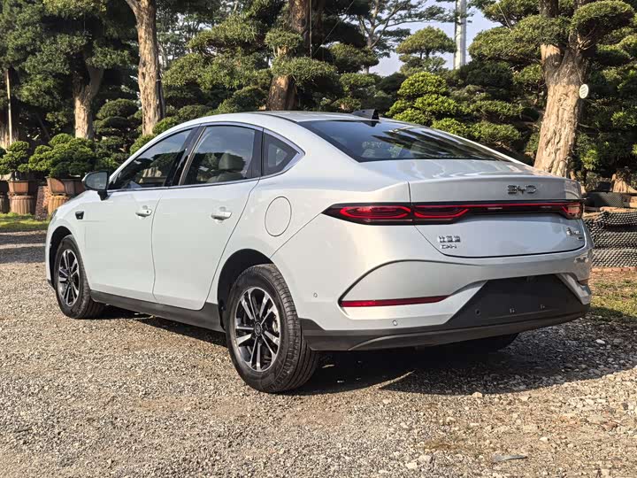 Фото 4 - BYD Qin Plus