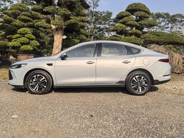Фото 8 - BYD Qin Plus