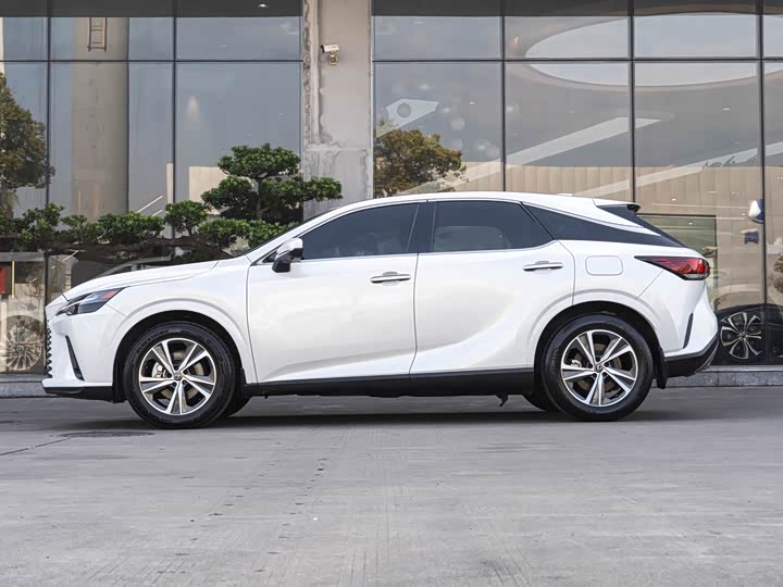 Фото 4 - Lexus RX