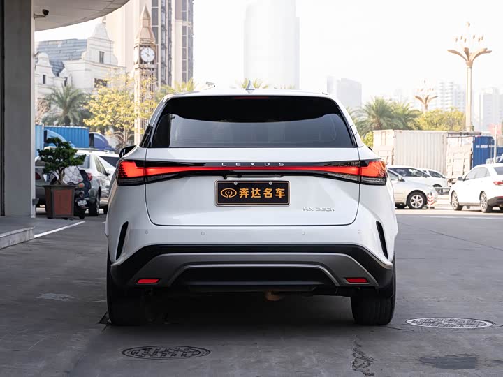 Фото 5 - Lexus RX