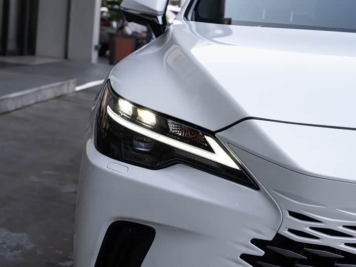 Фото 6 - Lexus RX