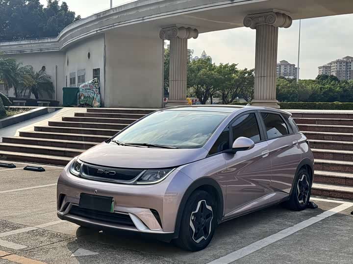 Фото 1 - BYD Dolphin