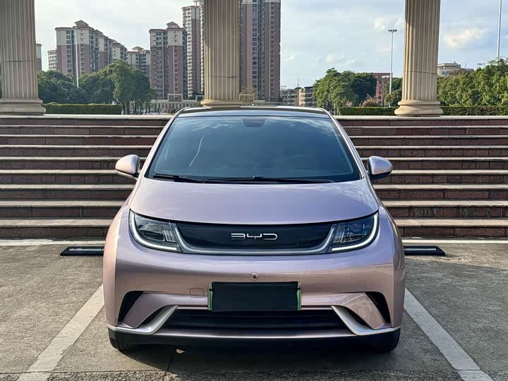 Фото 2 - BYD Dolphin