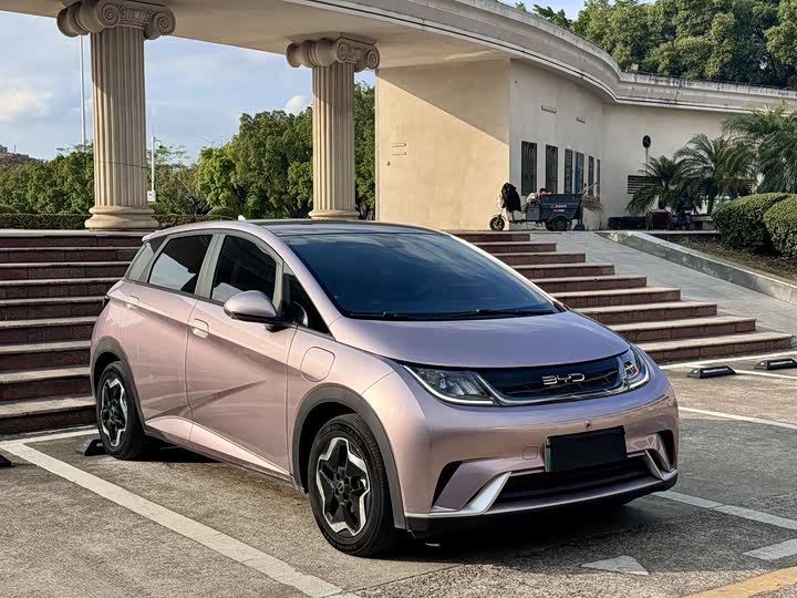 Фото 3 - BYD Dolphin