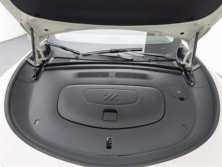 Фото 6 - IM motors LS6