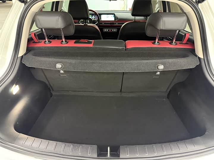 Фото 7 - Ora Good Cat GT (03 GT)