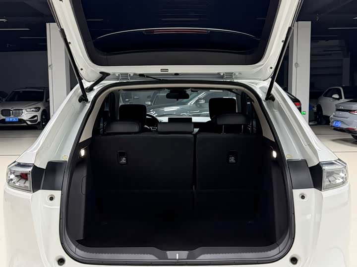 Фото 9 - Honda XR-V