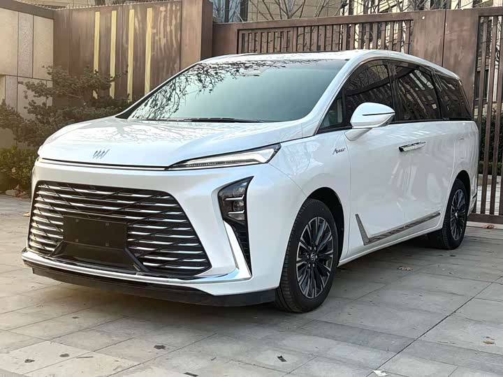 Фото 1 - Buick GL8 ES