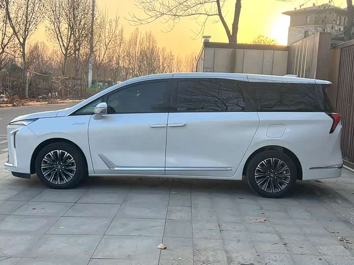 Фото 4 - Buick GL8 ES