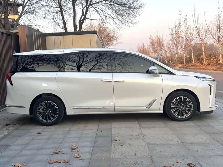 Фото 5 - Buick GL8 ES