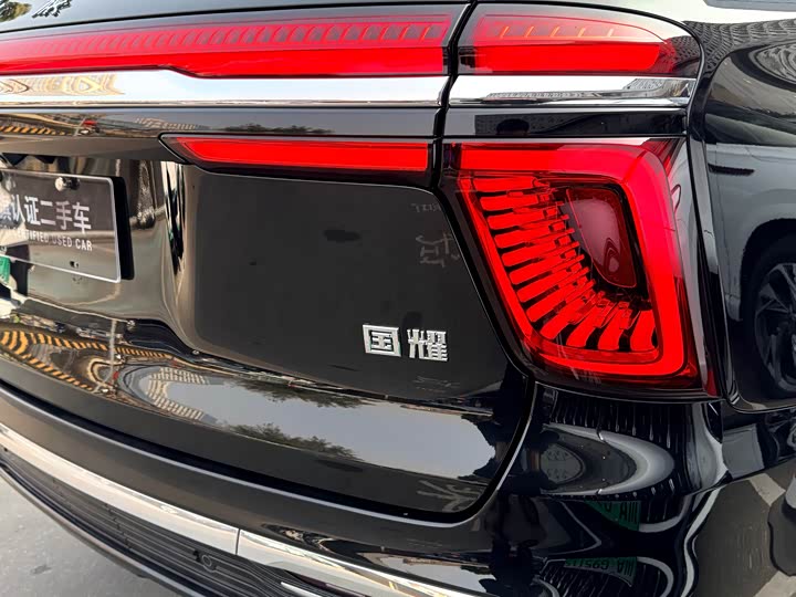 Фото 5 - Hongqi LS7 (Guoyao)