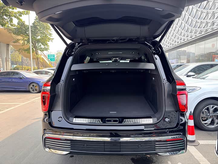 Фото 7 - Hongqi LS7 (Guoyao)