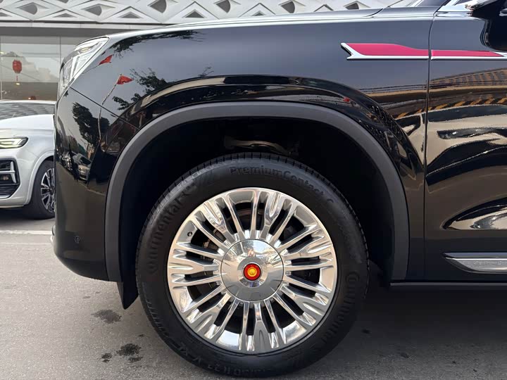 Фото 8 - Hongqi LS7 (Guoyao)