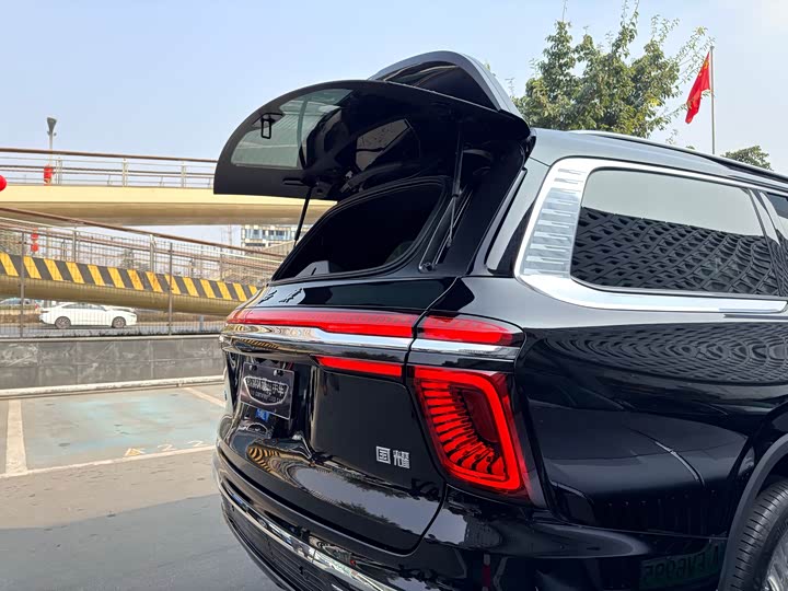 Фото 9 - Hongqi LS7 (Guoyao)