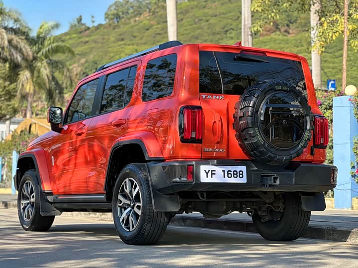 Фото 5 - Tank 300