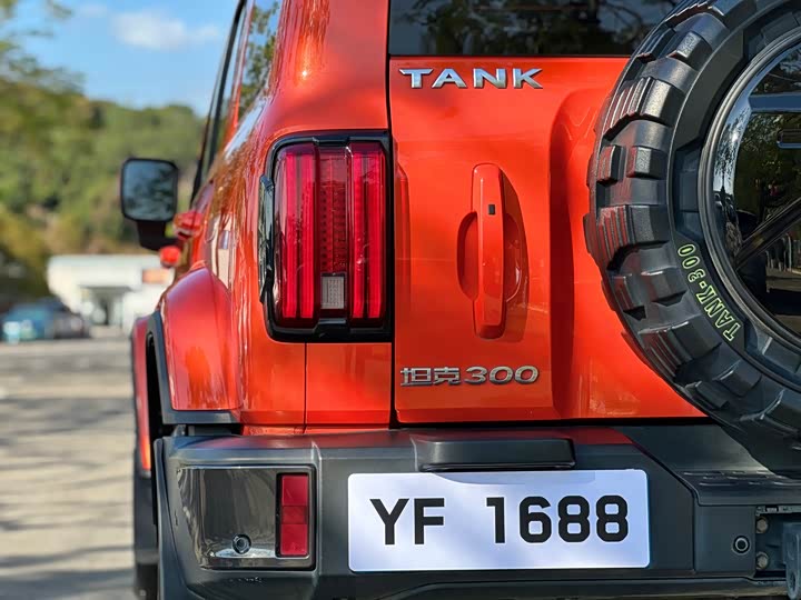 Фото 8 - Tank 300