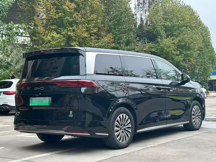 Фото 4 - BYD Xia