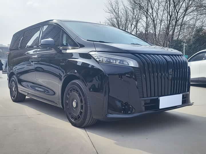 Фото 3 - Wey Gaoshan