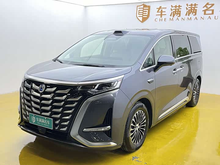 Фото 1 - Denza D9