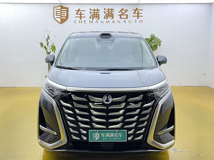 Фото 2 - Denza D9