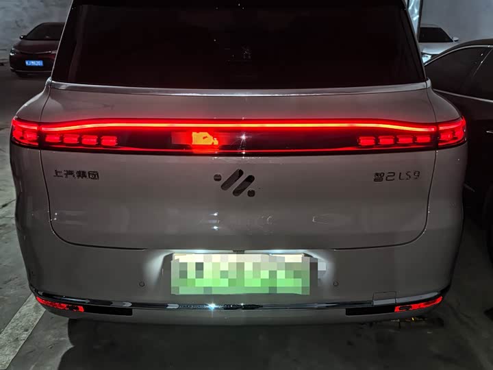 Фото 5 - IM motors LS9