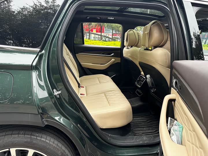 Photo 9 - Geely Monjaro