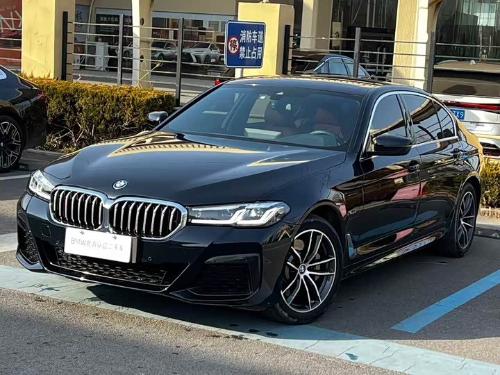 Фото 1 - BMW 5 Series Hybrid