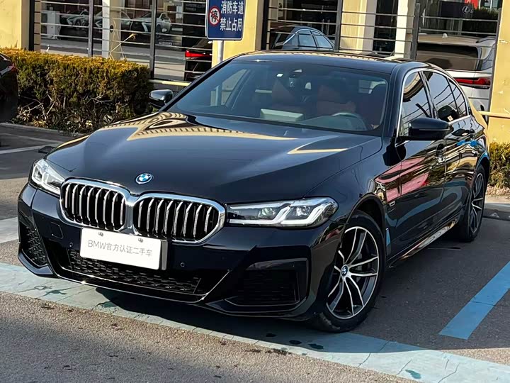 Фото 2 - BMW 5 Series Hybrid