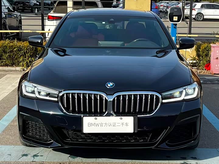 Фото 3 - BMW 5 Series Hybrid