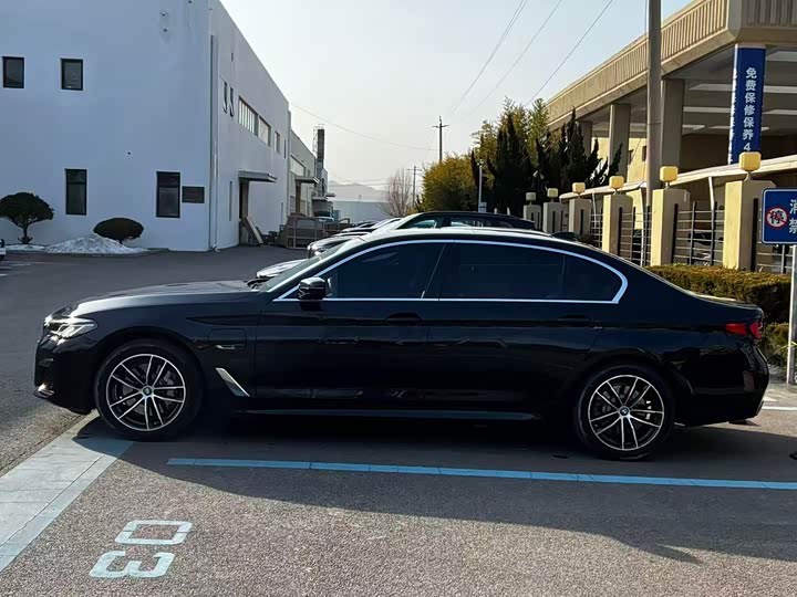 Фото 4 - BMW 5 Series Hybrid