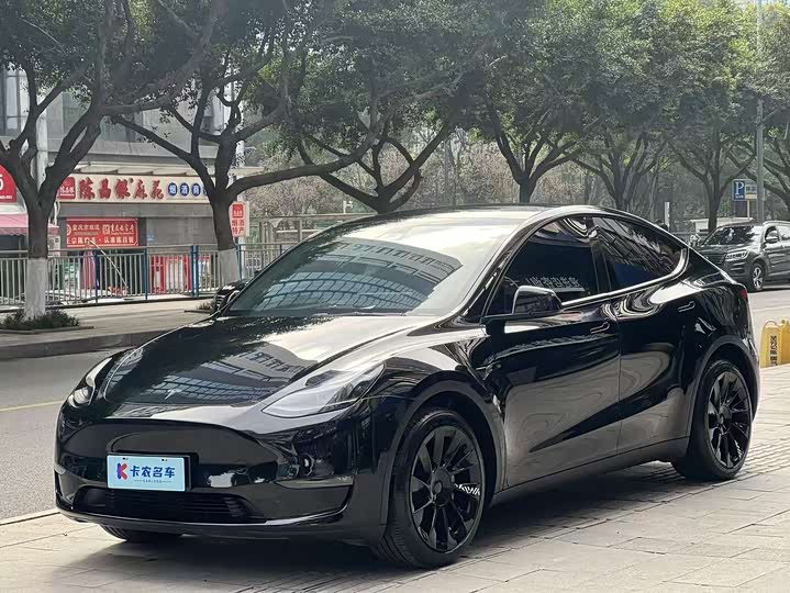 Фото 1 - Tesla Model Y